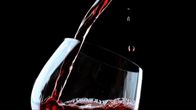 Catas de vino y visitas a bodegas que no te puedes perder